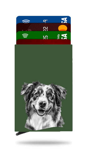 Australian Shepherd