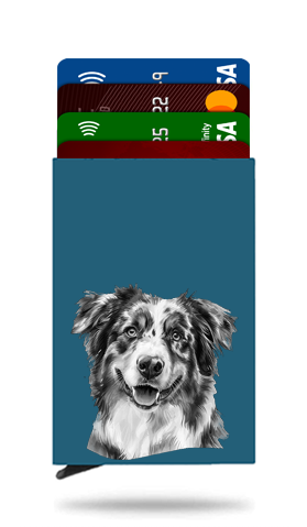 Australian Shepherd