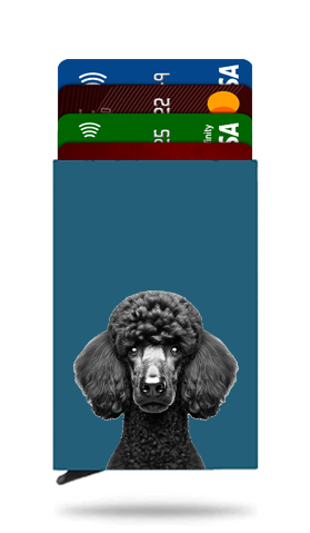 Standard Poodle