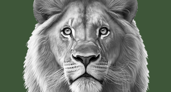 Wild animals