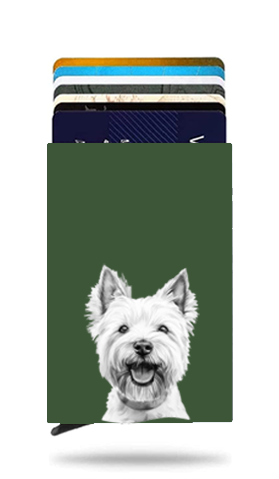 West Highland Terrier