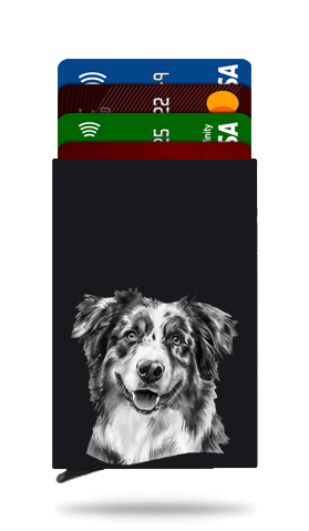 Australian Shepherd