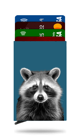 Raccoon