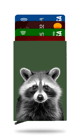 Raccoon