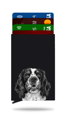 Springer Spaniel