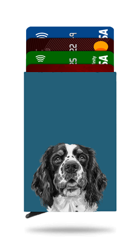 Springer Spaniel